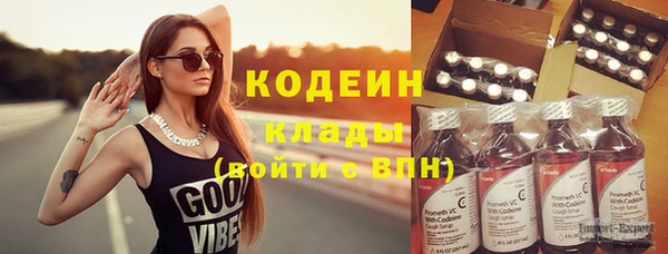 мдпв Рославль