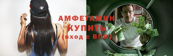 крисы Ростов