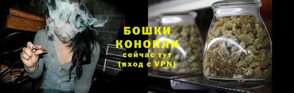 мдпв Рославль