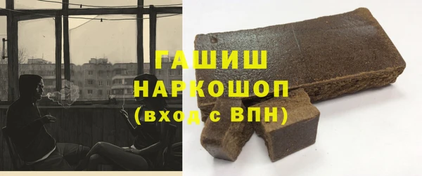 мдпв Рославль