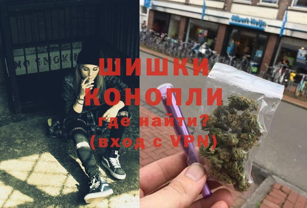 мдпв Рославль