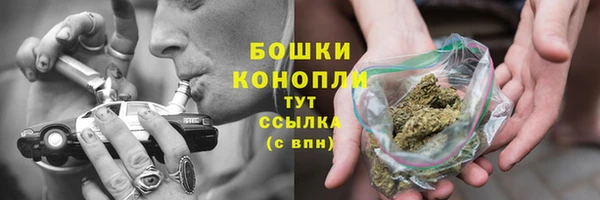 крисы Ростов