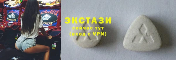 мдпв Рославль