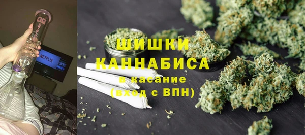 крисы Ростов