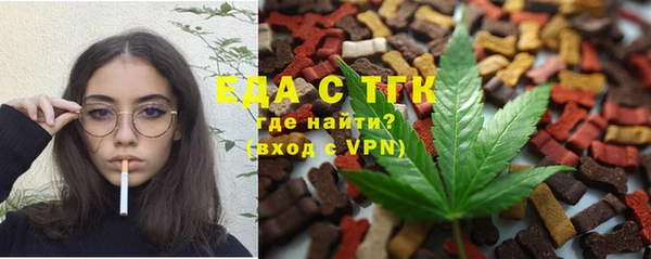 мдпв Рославль