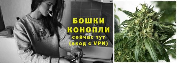 мдпв Рославль