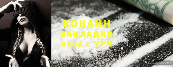 крисы Ростов