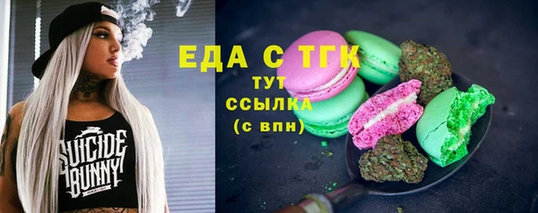 мдпв Рославль