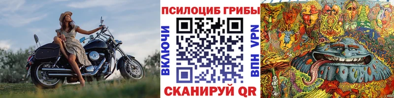Галлюциногенные грибы Cubensis  Купить закладки  Лысково 